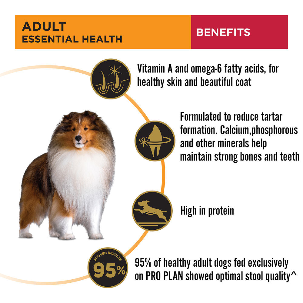 Purina Pro Plan Chicken Medium Breed Adult Dog Dry Food — in use