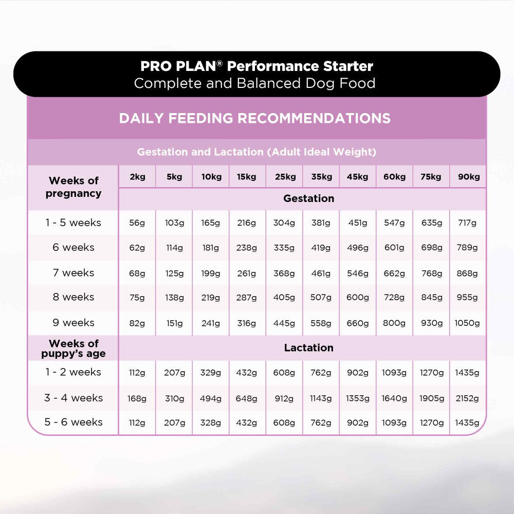 Purina Pro Plan Chicken Mother and Puppy Starter Dog Dry Food — in use
