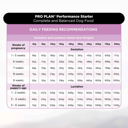 Purina Pro Plan Chicken Mother and Puppy Starter Dog Dry Food — in use