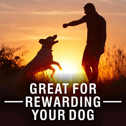 Purepet 100% Vegeterian Biscuit Dog Treats — in use