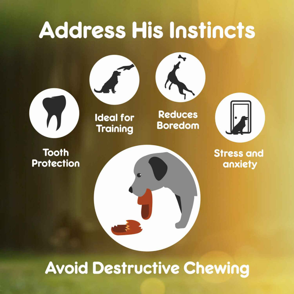 Purepet Chew Bone Dog Treats — detail shot