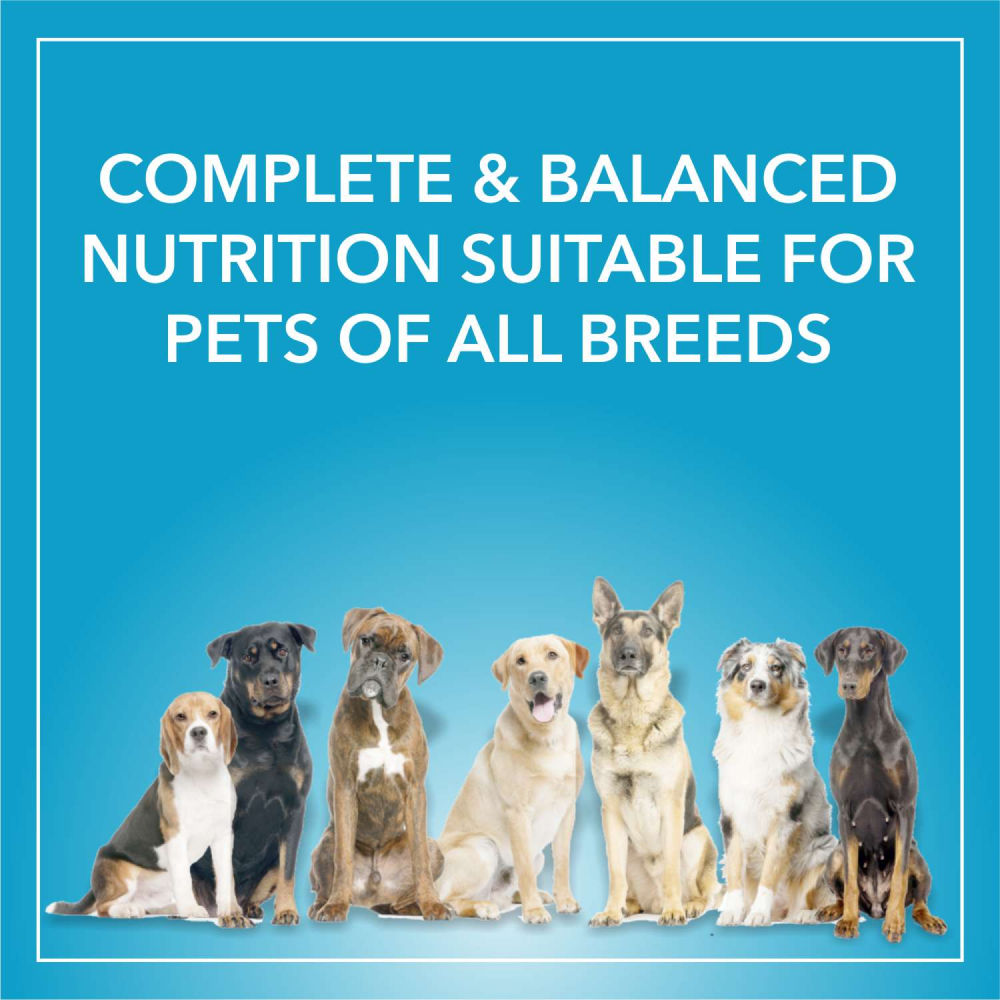Purepet Chicken & Vegetable Adult Dog Dry Food — in use