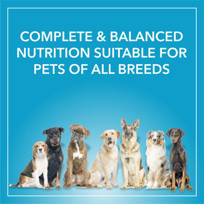 Purepet Chicken & Vegetable Adult Dog Dry Food — in use