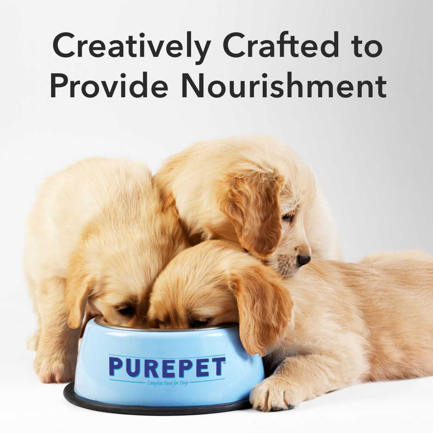 Purepet Chicken & Vegetable Chunks in Gravy Adult Dog Wet Food — detail shot