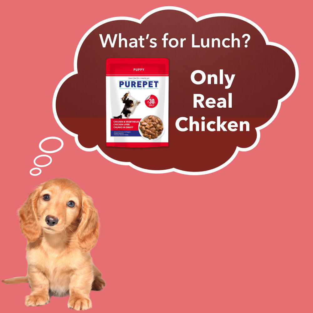 Purepet Chicken & Vegetable Chunks in Gravy Puppy Dog Wet Food — detail shot