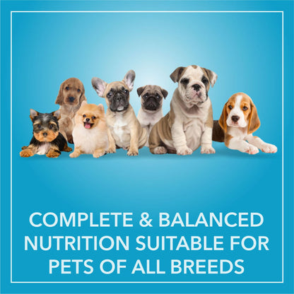 Purepet Chicken & Vegetable Puppy Dog Dry Food — in use