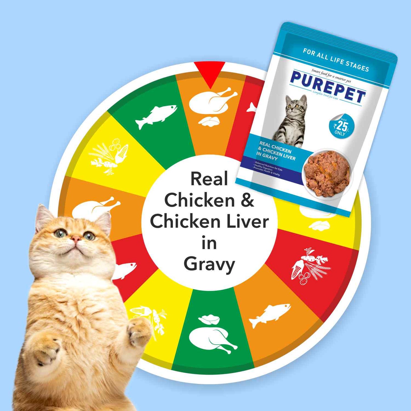 Purepet Real Chicken & Chicken Liver in Gravy Cat Wet Food — detail shot