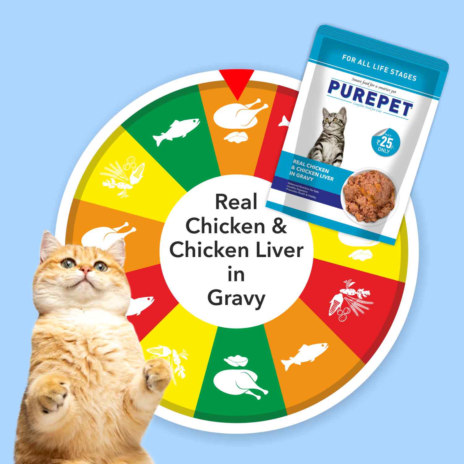 Purepet Real Chicken & Chicken Liver in Gravy Cat Wet Food — detail shot