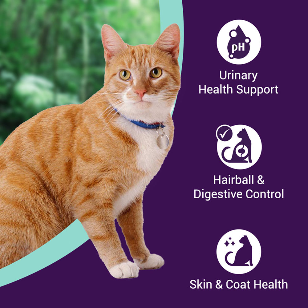 Purrfeto Chicken and Ocean Fish Cat Dry Food — side view