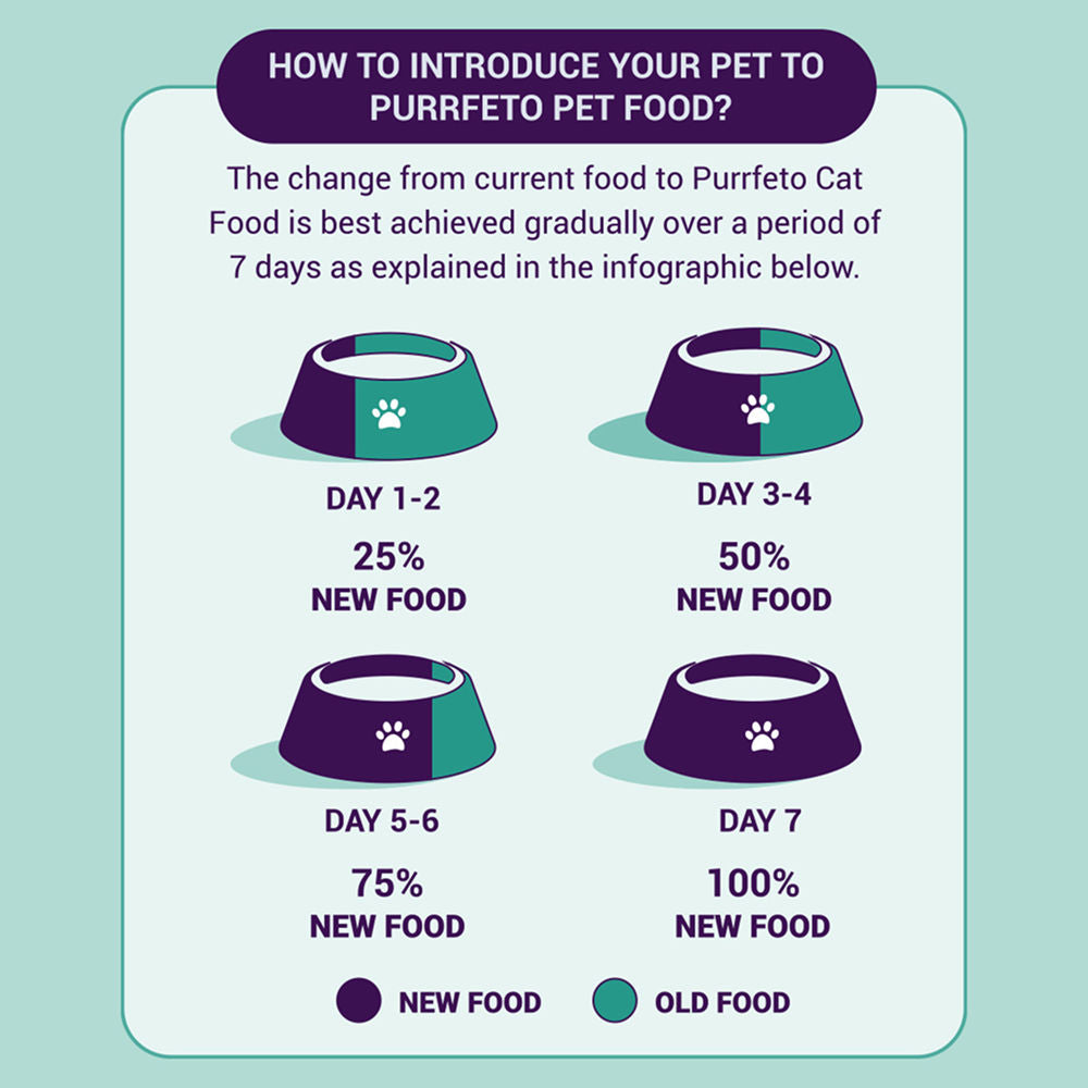 Purrfeto Chicken And Ocean Fish Cat Dry Food Bgb - Image 3