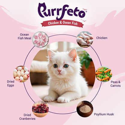Purrfeto Chicken and Ocean Fish Kitten Cat Dry Food — detail shot