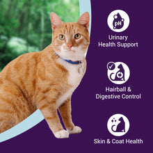 Purrfeto Chicken And Rice Adult Cat Dry Food Bgb - Image 2