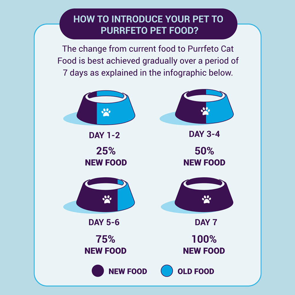 Purrfeto Chicken and Rice Adult Cat Dry Food — in use