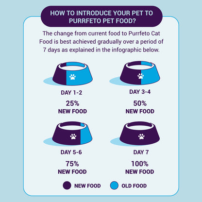 Purrfeto Chicken and Rice Adult Cat Dry Food — in use