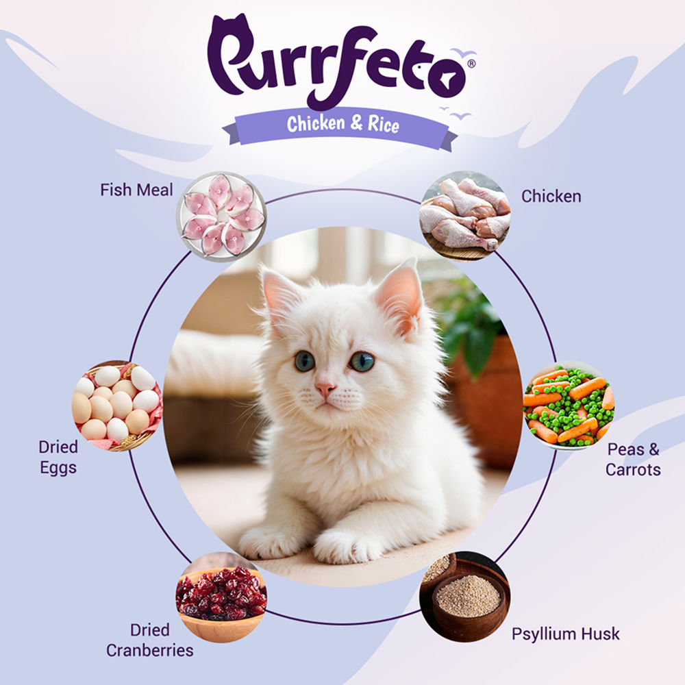 Purrfeto Chicken and Rice Kitten Cat Dry Food — side view