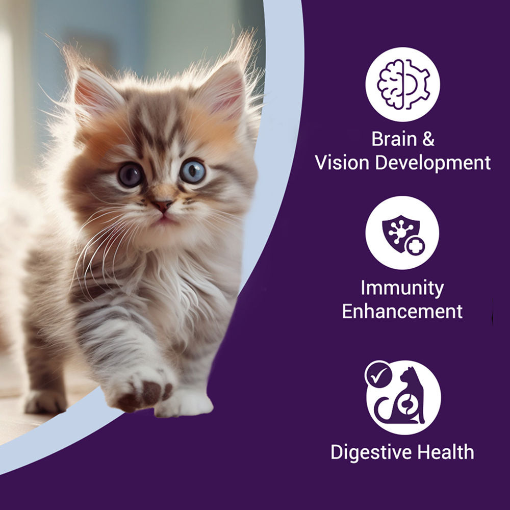 Purrfeto Chicken and Rice Kitten Cat Dry Food — back view
