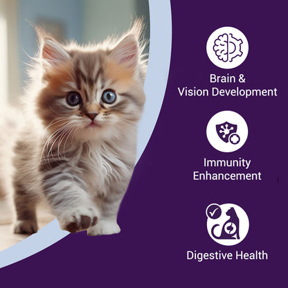 Purrfeto Chicken And Rice Kitten Cat Dry Food Bgb - Image 3