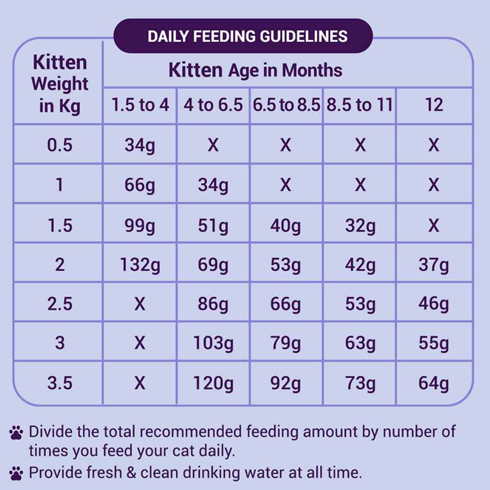 Purrfeto Chicken And Rice Kitten Cat Dry Food Bgb - Image 4