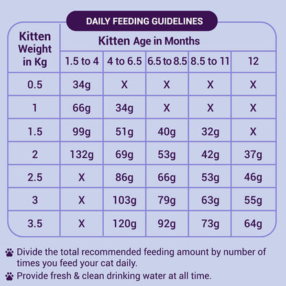Purrfeto Chicken And Rice Kitten Cat Dry Food Bgb - Image 4