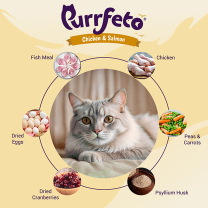 Purrfeto Chicken and Salmon Adult Cat Dry Food — back view