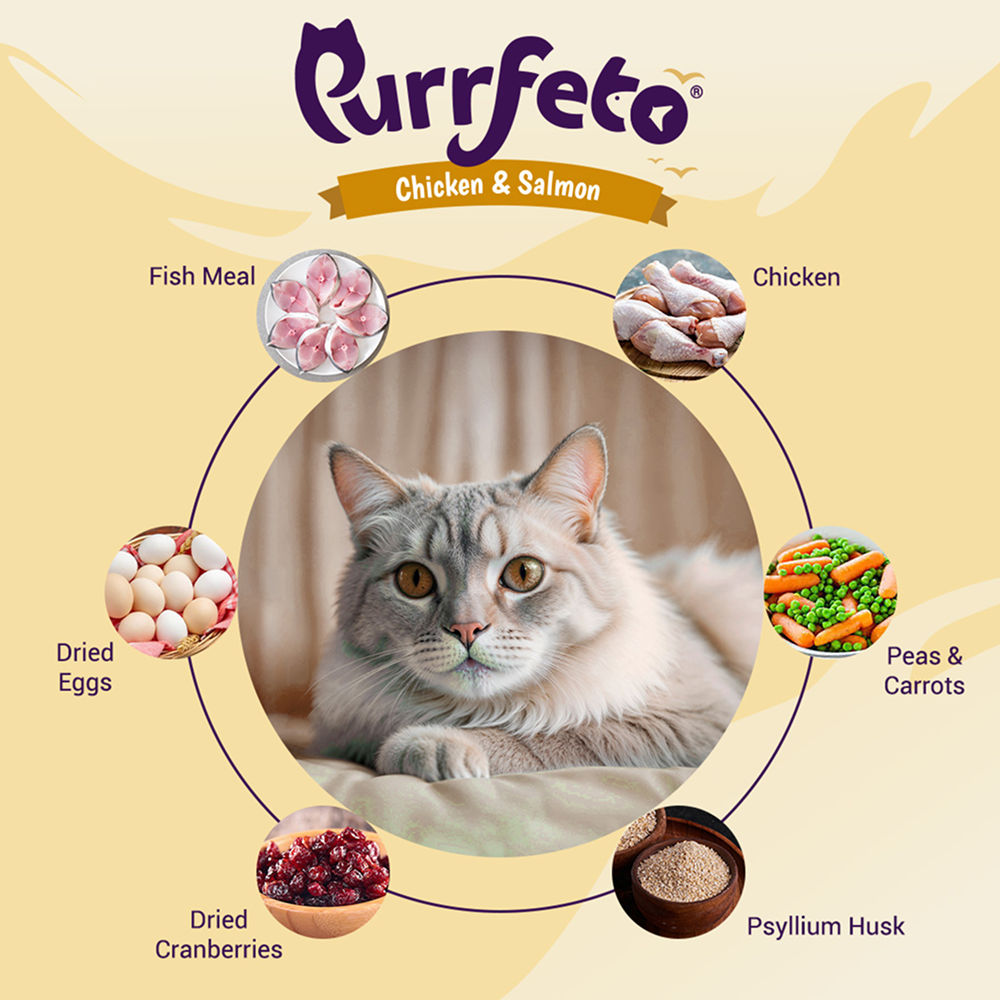 Purrfeto Chicken And Salmon Adult Cat Dry Food Bgb - Image 3