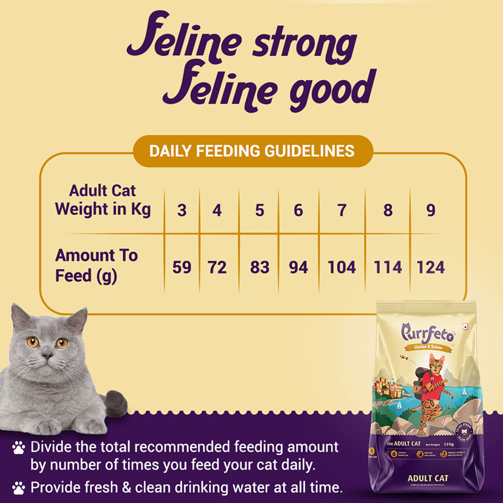 Purrfeto Chicken and Salmon Adult Cat Dry Food — detail shot
