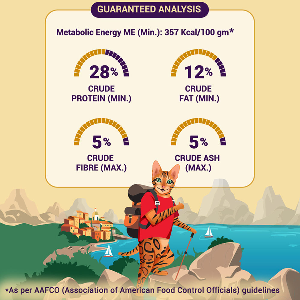 Purrfeto Chicken and Salmon Adult Cat Dry Food — in use