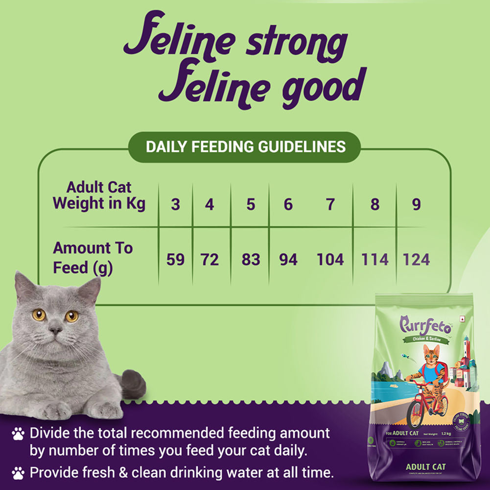 Purrfeto Chicken and Sardine Adult Cat Dry Food — detail shot