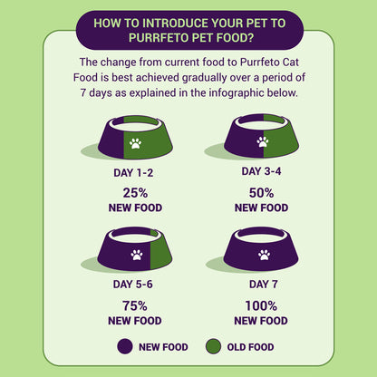 Purrfeto Chicken and Sardine Adult Cat Dry Food — in use