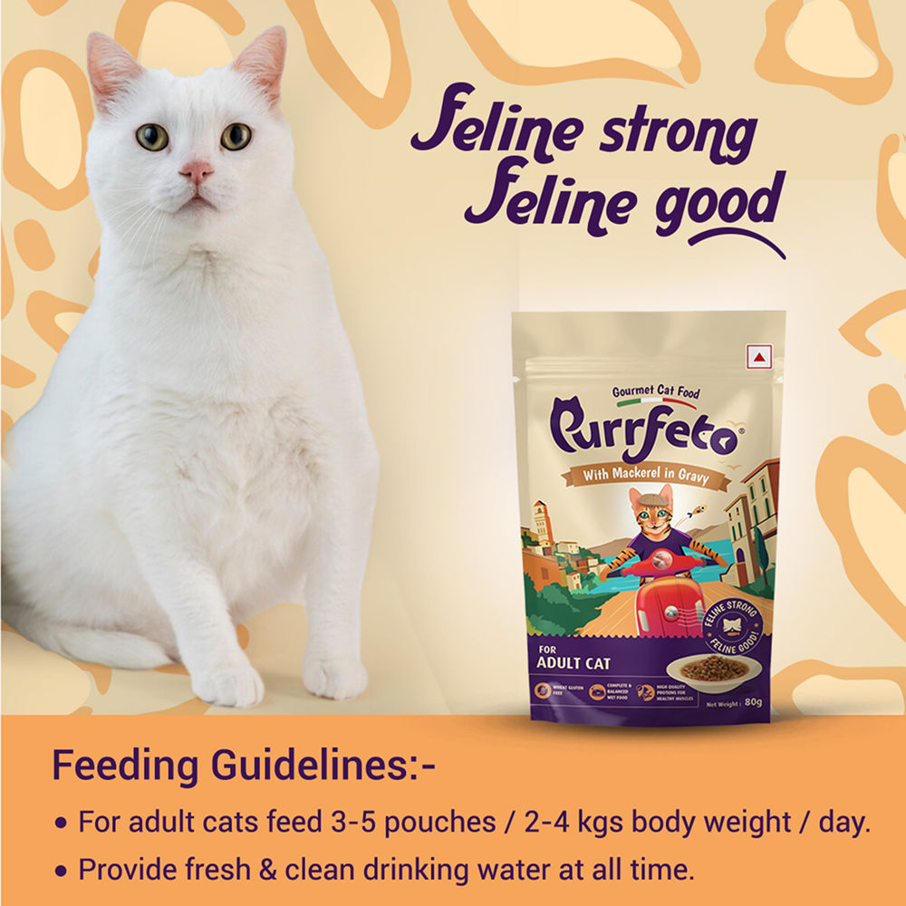 Purrfeto Mackerel in Gravy Adult Cat Wet Food — in use
