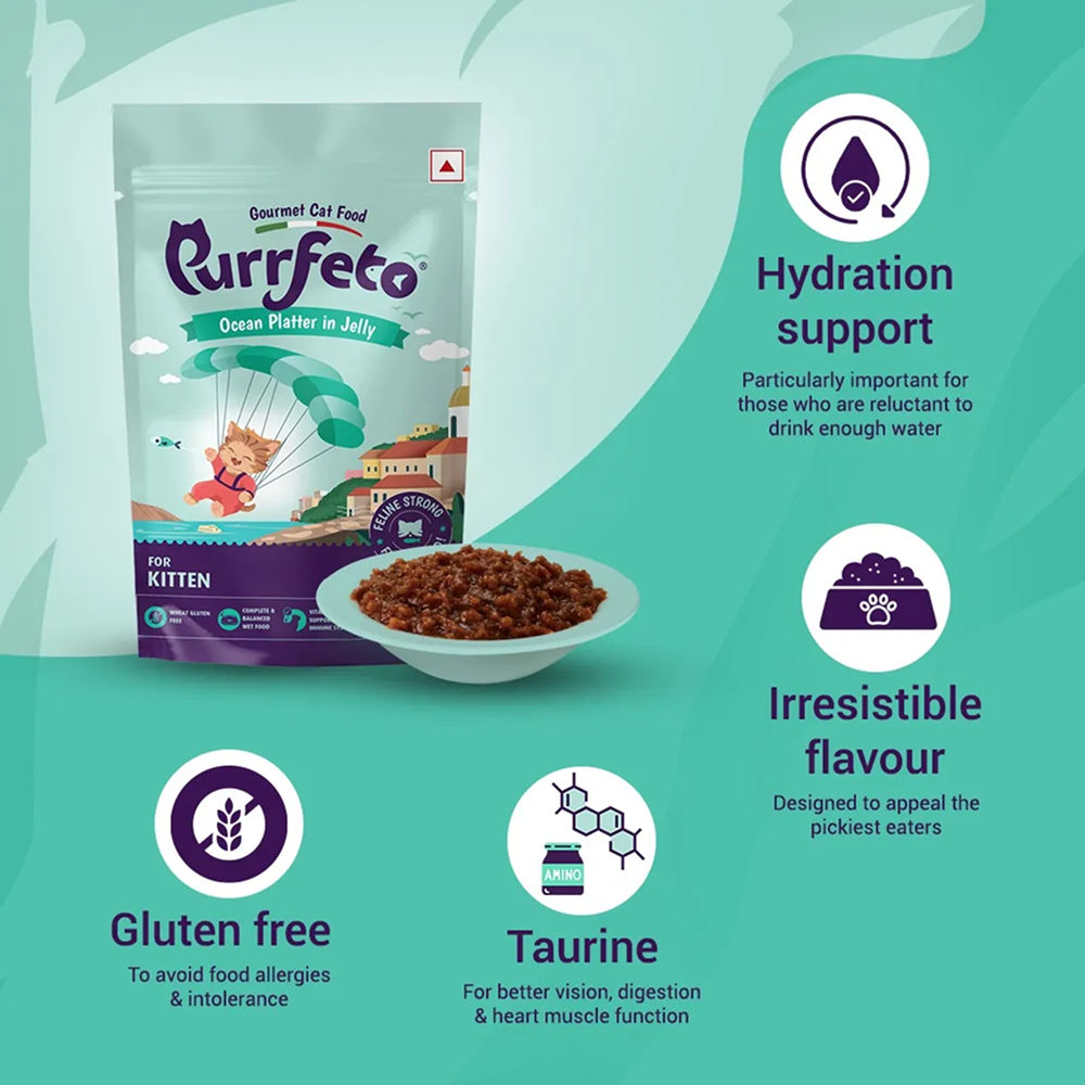 Purrfeto Oceanfish Recipe in Jelly Kitten Cat Wet Food — back view