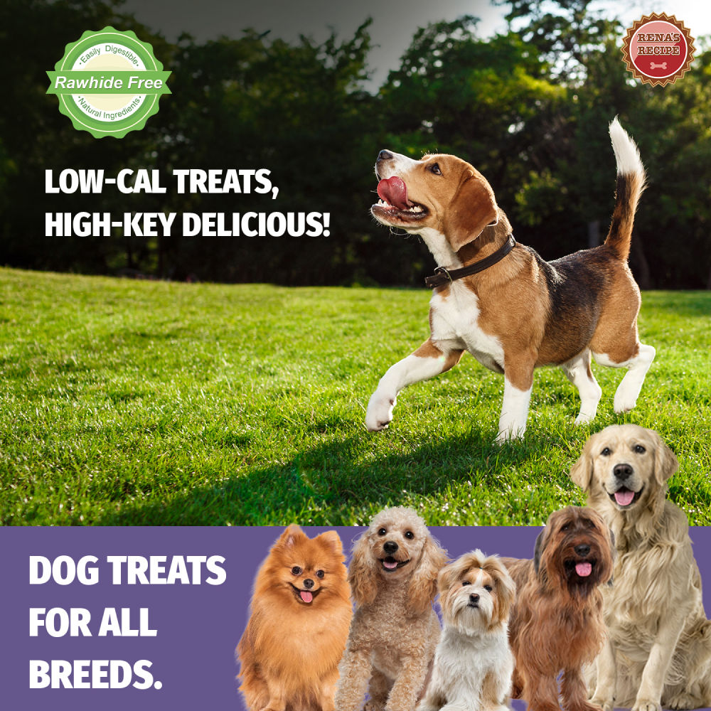 Rena Love Dumbbell Treats for Dogs — detail shot