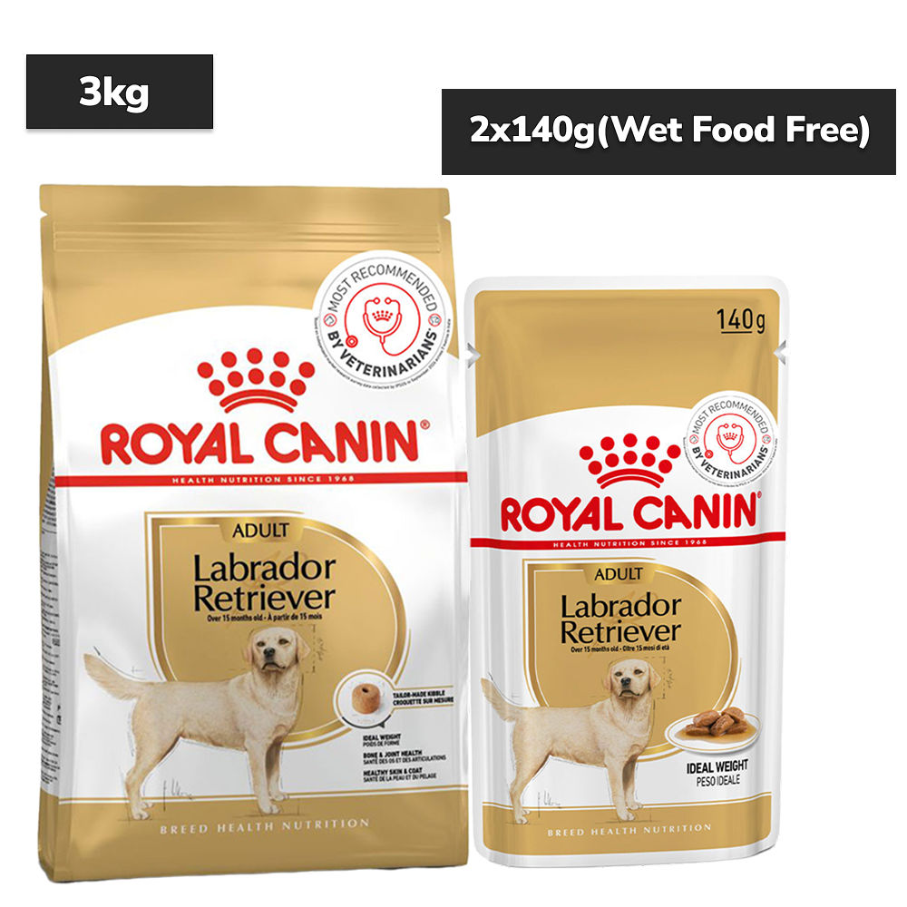 royal-canin-labrador-large-adult-dry-dog-food 3kg+140g (Wet Food Free)