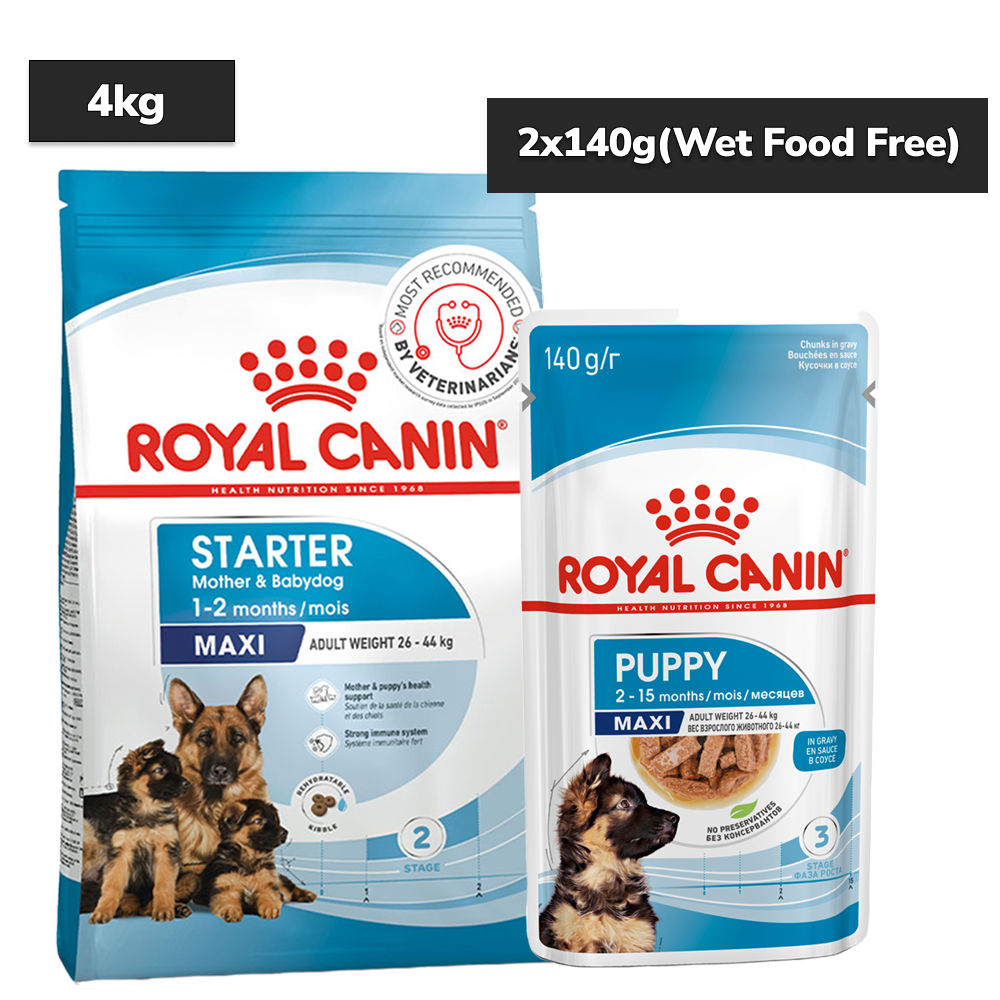 royal-canin-maxi-starter-dry-food-for-large-breed-dog-and-puppies 4kg+140g (Wet Food Free)