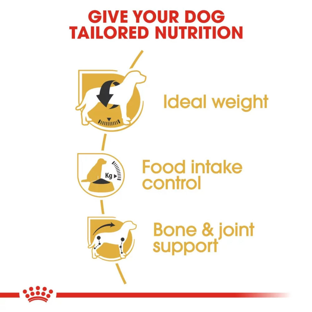 Royal Canin Beagle Adult Dog Dry Food — side view