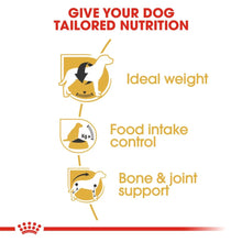 Royal Canin Beagle Adult Dog Dry Food - Image 2
