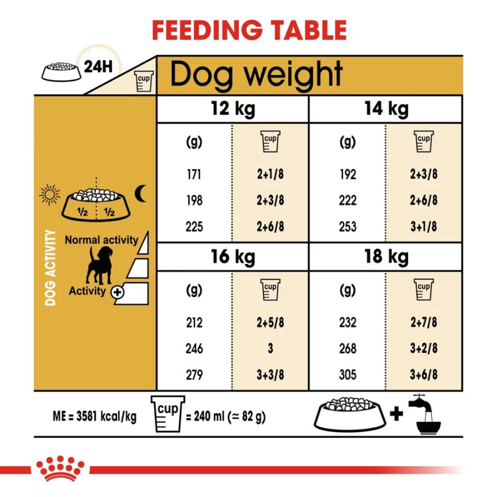 Royal Canin Beagle Adult Dog Dry Food — in use