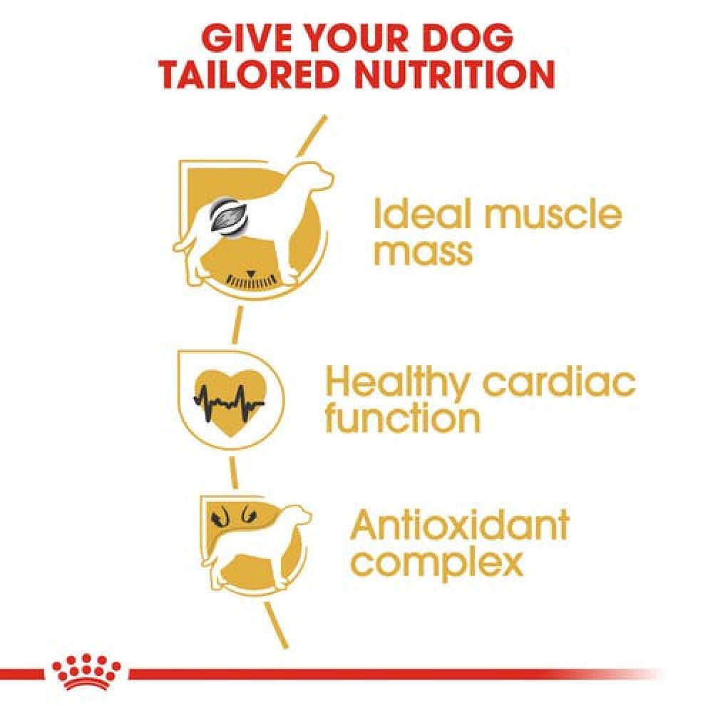 Royal Canin Boxer Adult Dog Dry Food — back view