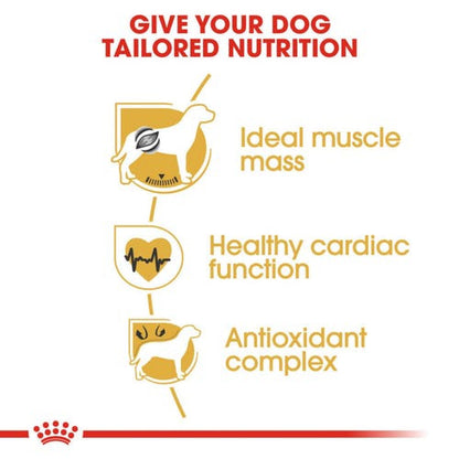 Royal Canin Boxer Adult Dog Dry Food — back view