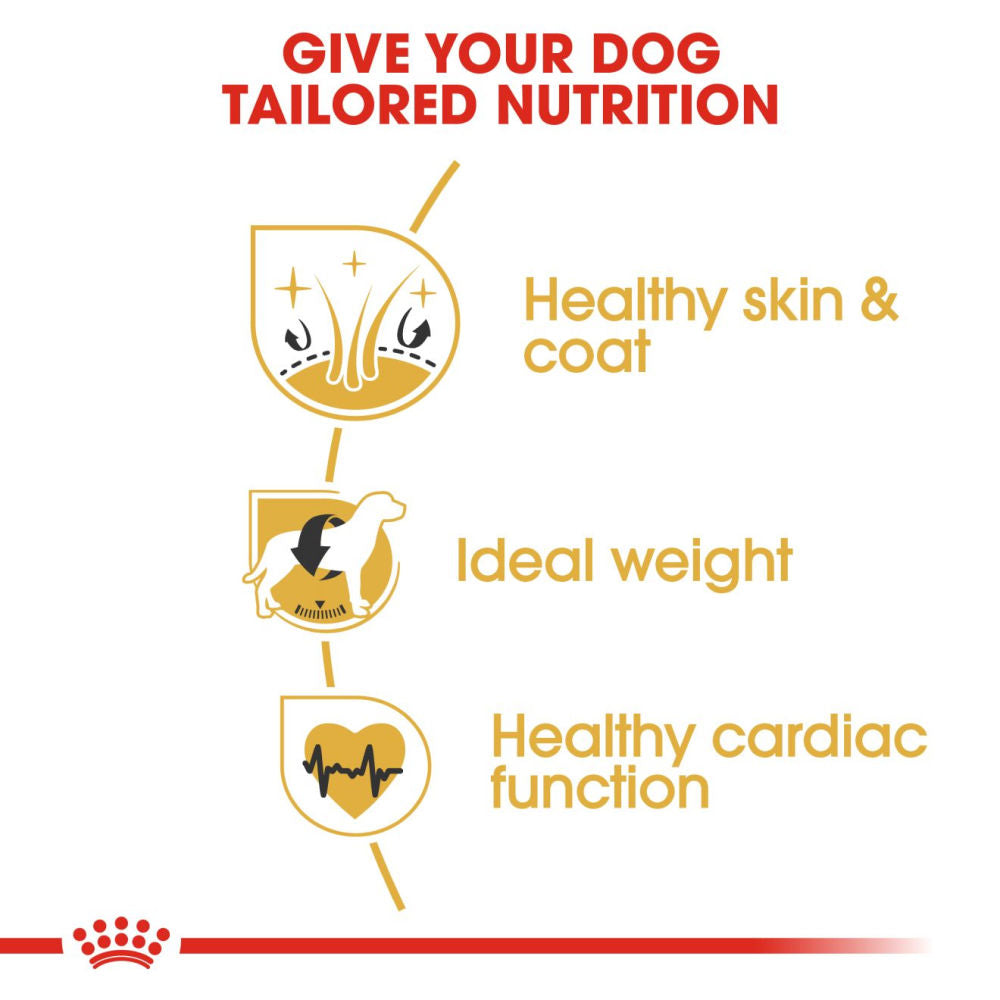 Royal Canin Cocker Adult Dog Dry Food — side view