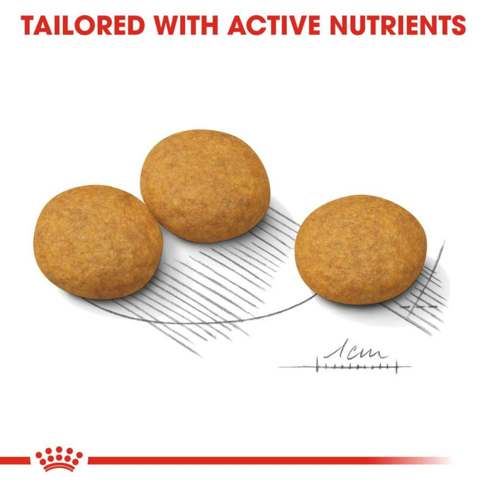 Royal Canin Derma Comfort Medium Adult Dog Dry Food — back view