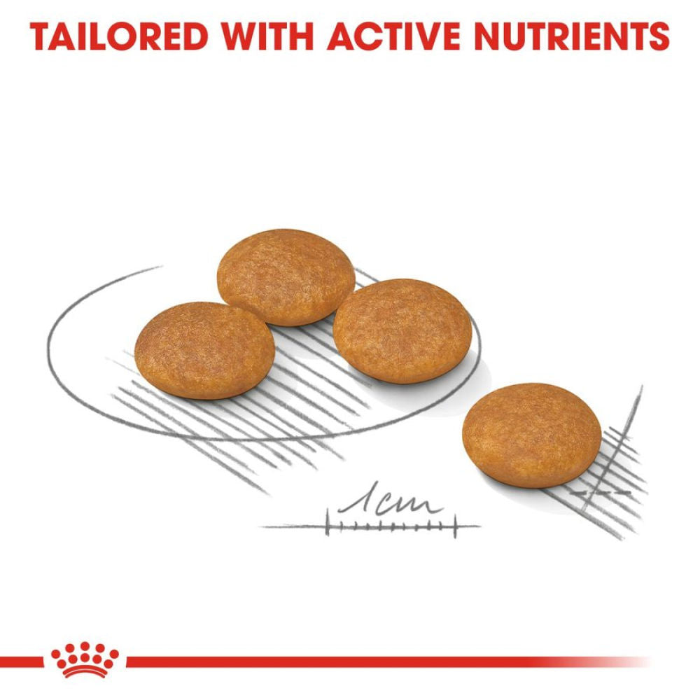Royal Canin Dermacomfort Mini for Small Dog Dry Food — back view