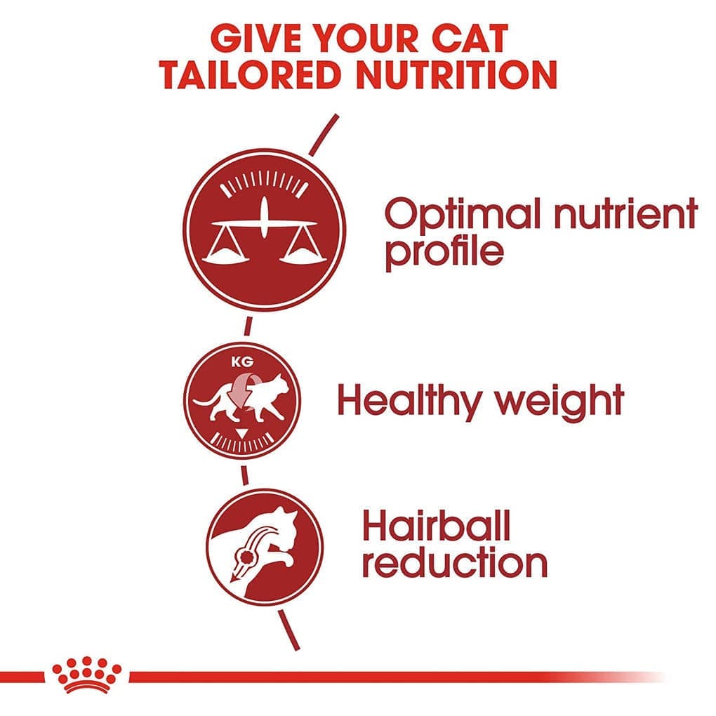 Royal Canin Fit 32 Regular for Adult Cat Dry Food — back view