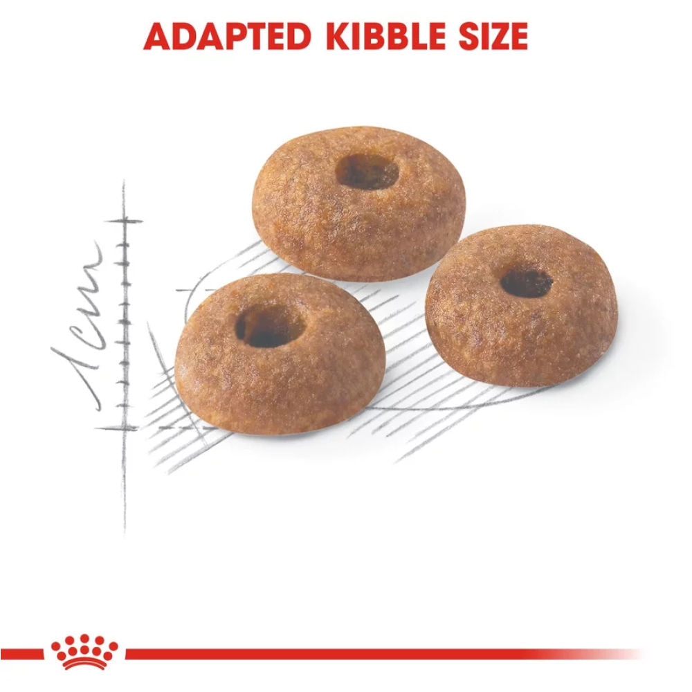 Royal Canin Fit 32 Regular for Adult Cat Dry Food — detail shot