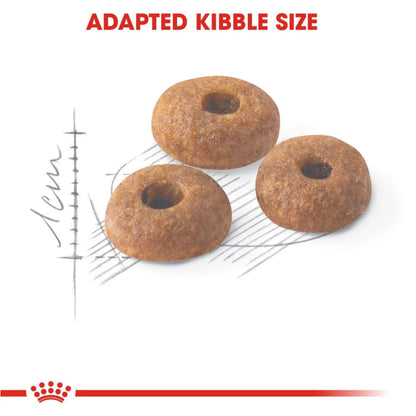 Royal Canin Fit 32 Regular for Adult Cat Dry Food — detail shot