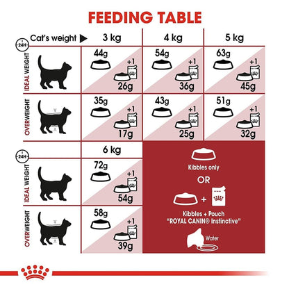 Royal Canin Fit 32 Regular for Adult Cat Dry Food — in use