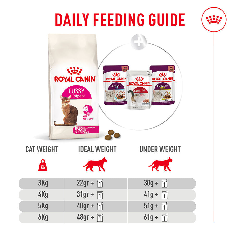 Royal Canin Fussy Exigent Cat Dry Food — detail shot