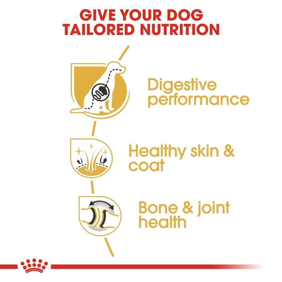 Royal Canin German Shepherd Adult Dog Dry Food — back view