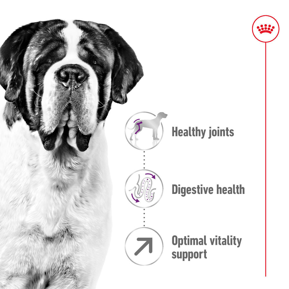 Royal Canin Giant Adult Dog Dry Food — side view