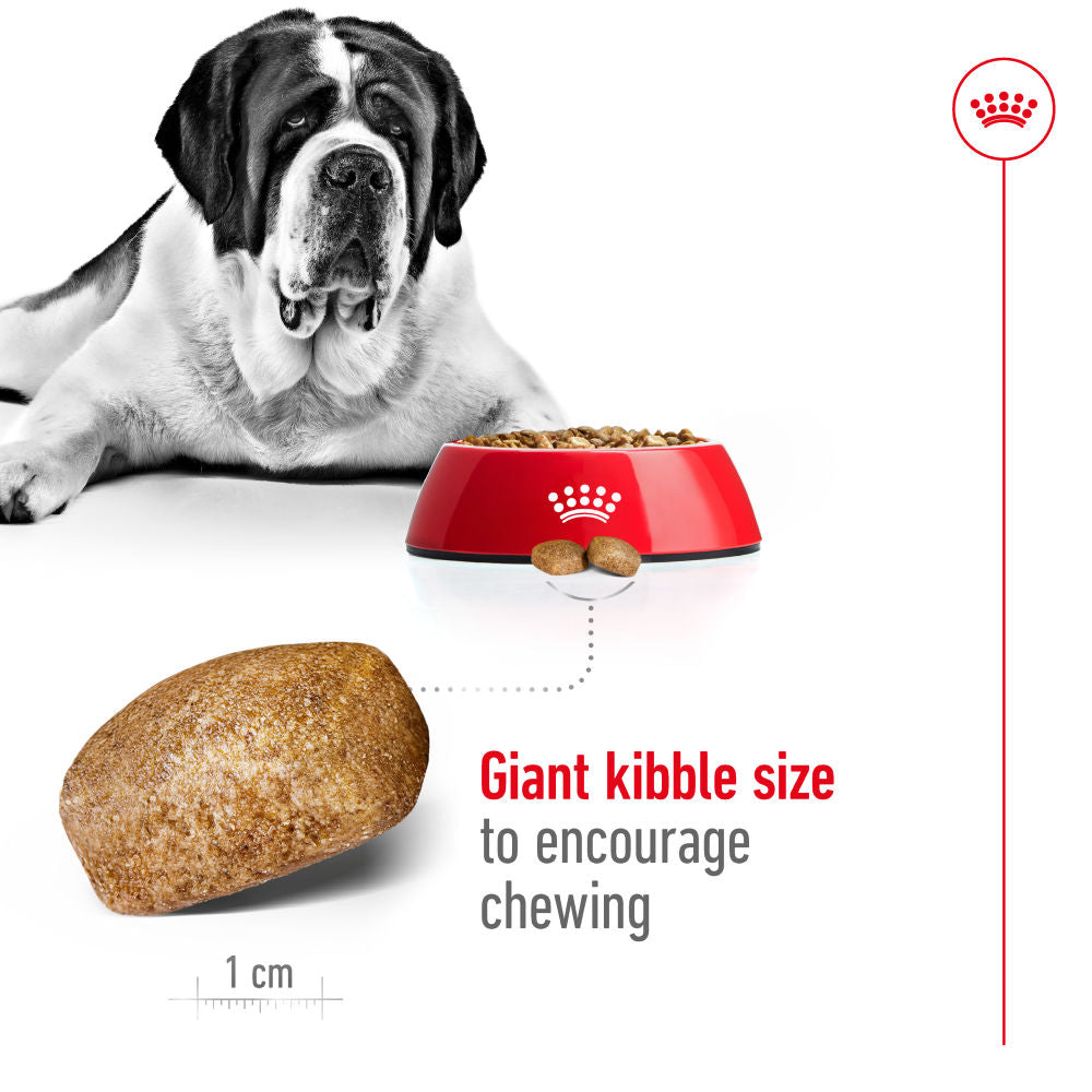 Royal Canin Giant Adult Dog Dry Food — detail shot